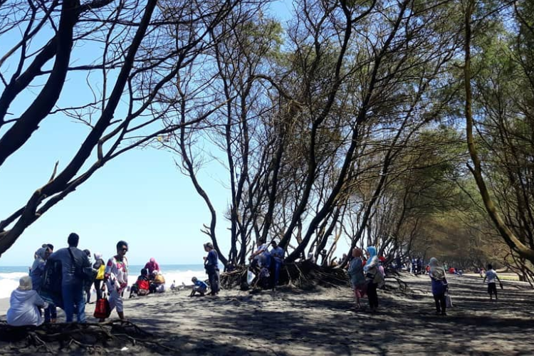 Pantai Kuwaru Bantul